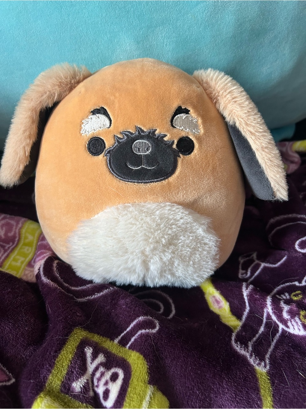 Squishmallow - Pug - Plush Dog Toy - Tan and Cream Soft Pet Plush